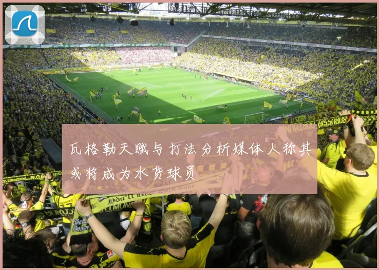 瓦格勒天赋与打法分析媒体人称其或将成为水货球员