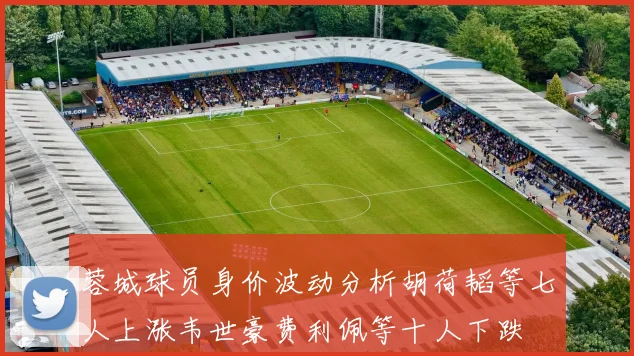 蓉城球员身价波动分析胡荷韬等七人上涨韦世豪费利佩等十人下跌