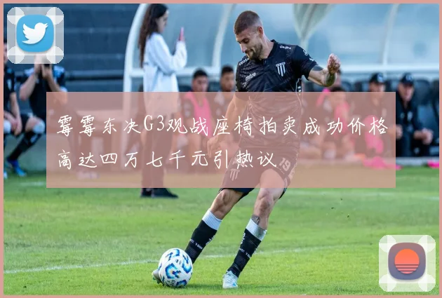 霉霉东决G3观战座椅拍卖成功价格高达四万七千元引热议