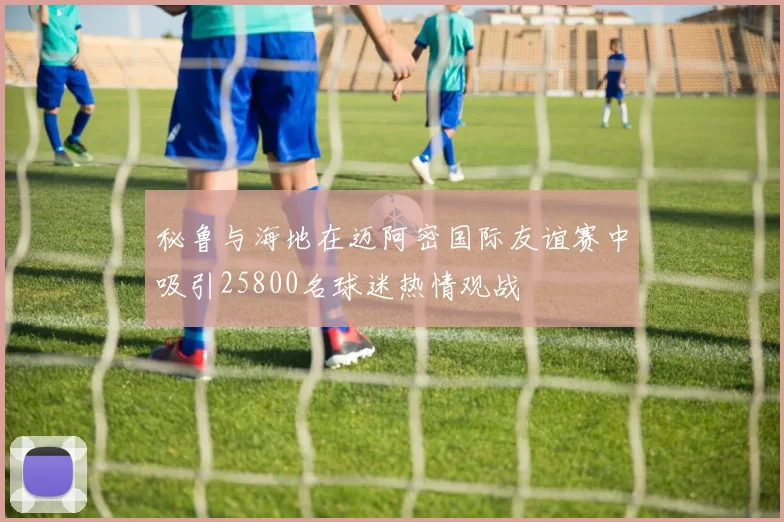 秘鲁与海地在迈阿密国际友谊赛中吸引25800名球迷热情观战