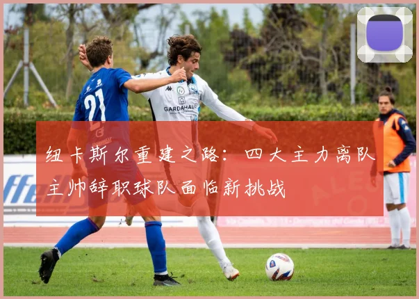 纽卡斯尔重建之路：四大主力离队主帅辞职球队面临新挑战
