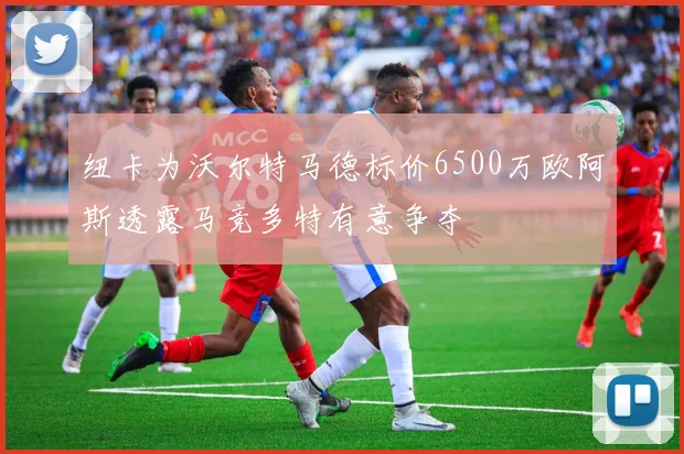 纽卡为沃尔特马德标价6500万欧阿斯透露马竞多特有意争夺